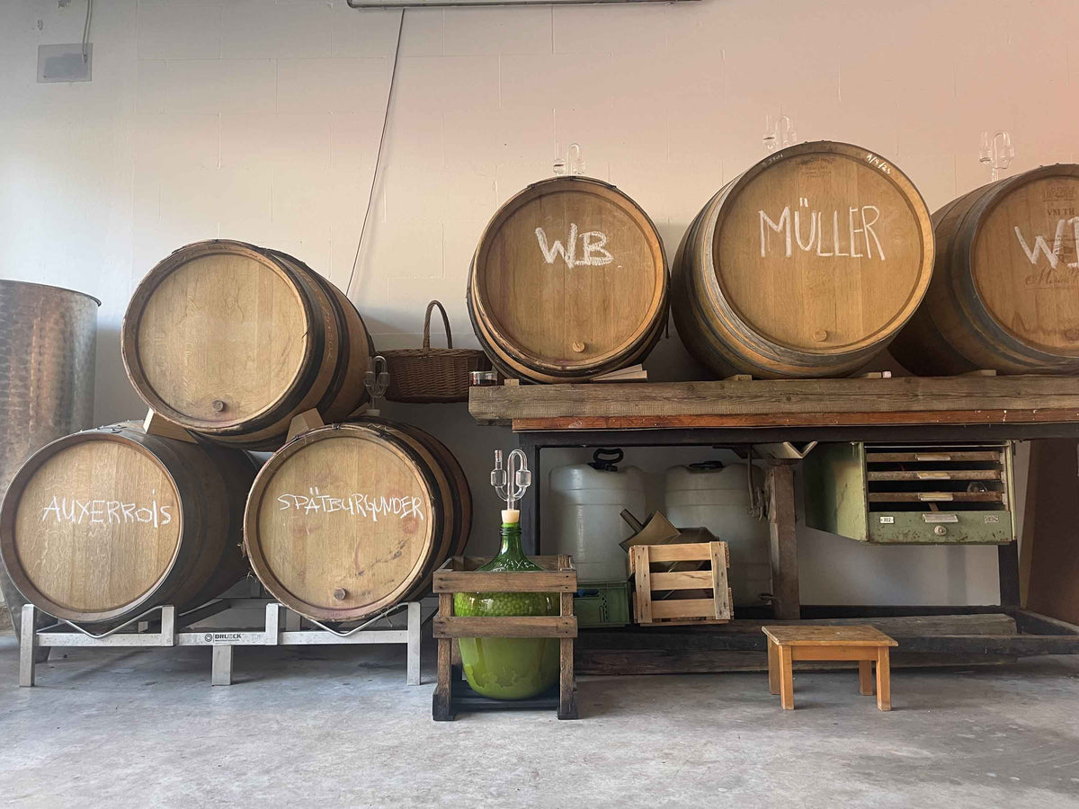 Blick in den Fasskeller vom Weingut Tessa Maria Sprenger