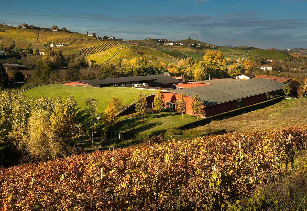 Herbststimmung am Weingut Vite Colte