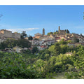 Weinanbend_Italien_Dorf