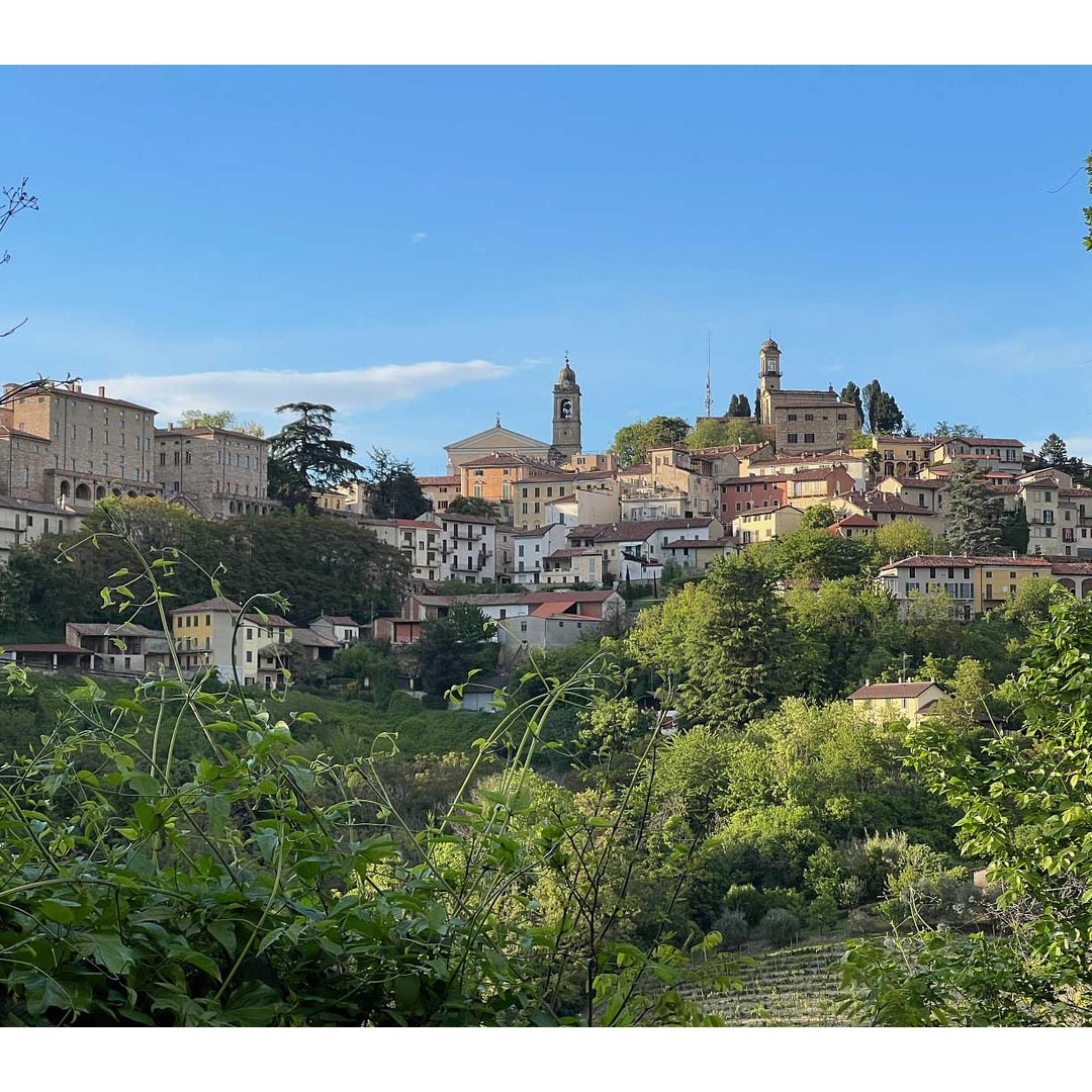 Weinanbend_Italien_Dorf