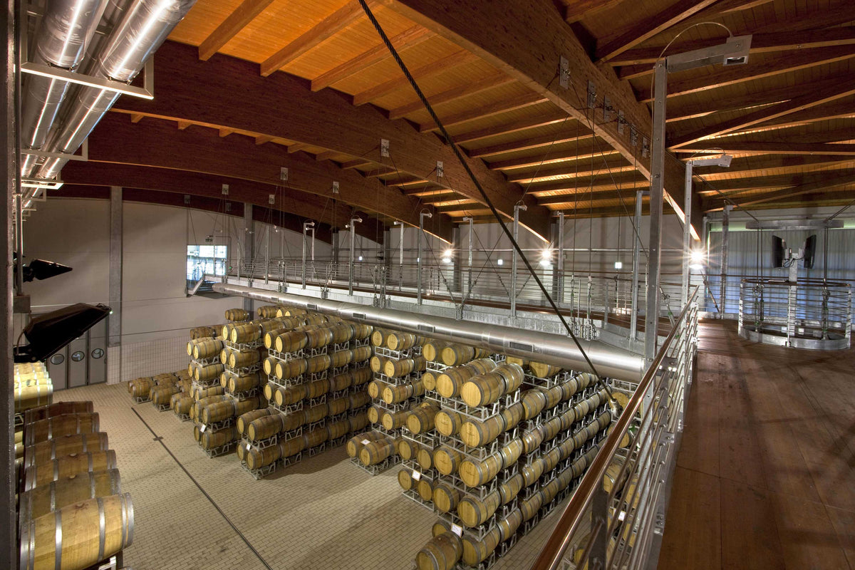 Ein Blick in den spektakulären Neubau des Weinguts Vite Colte