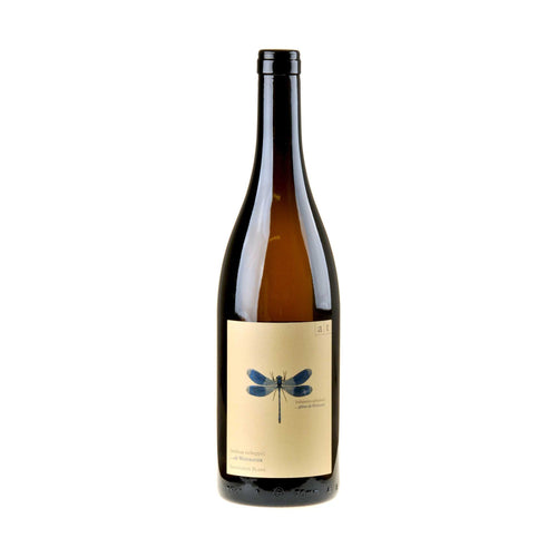 Andreas Tscheppe Blaue Libelle Bio 2024