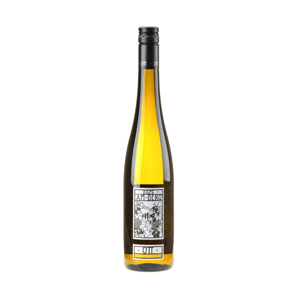 Bernhard Ott Grüner Veltliner am Berg Bio 2025