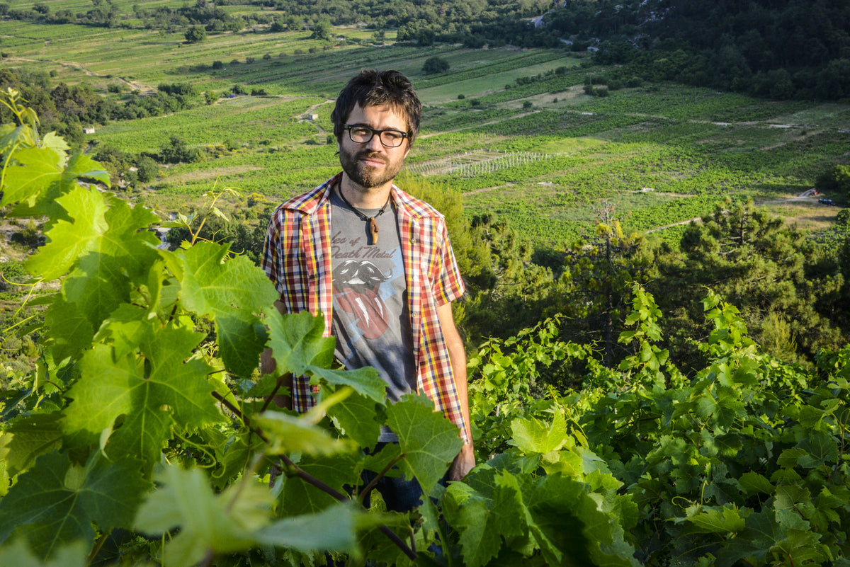 Denis Bogoević Marušić vom Weingut Križ auf dem gleichnamigen Weinberg