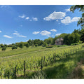 pfalz_weinabend