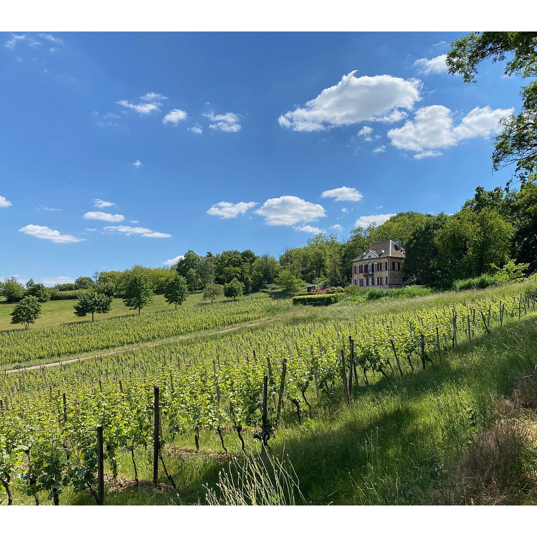 pfalz_weinabend